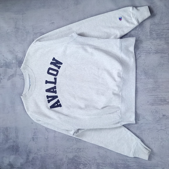 Vintage Other - Vintage AVALON Champion Reverse Weave Crewneck Sweater